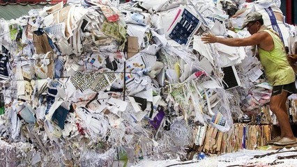 洋垃圾回收日入3万？大连查获195吨扇贝壳，拒收4年为何屡禁不止